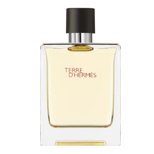 hermes-tester.jpg HERMES Terre d’Hermes 100ml EDT TESTER